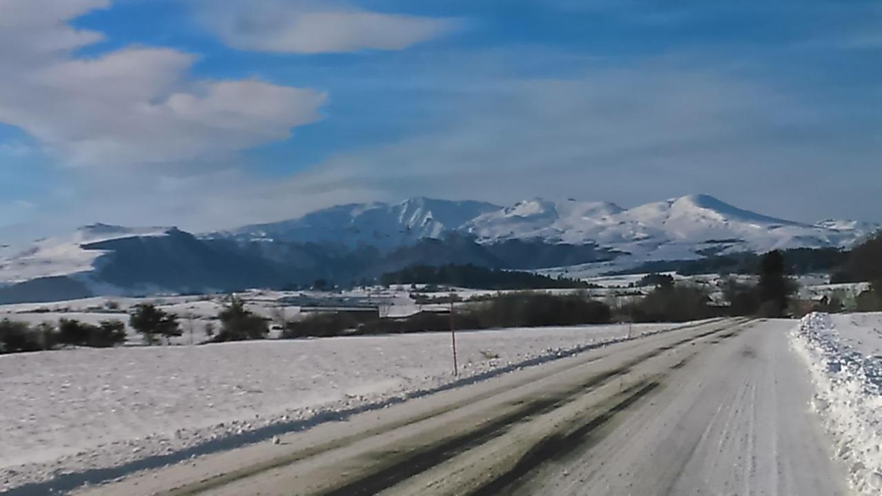 Tulipe, Appartement 5 Personnes, Entre Sancy Et Volcans D'Auvergne Orcival Zewnętrze zdjęcie