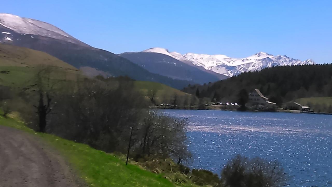 Tulipe, Appartement 5 Personnes, Entre Sancy Et Volcans D'Auvergne Orcival Zewnętrze zdjęcie