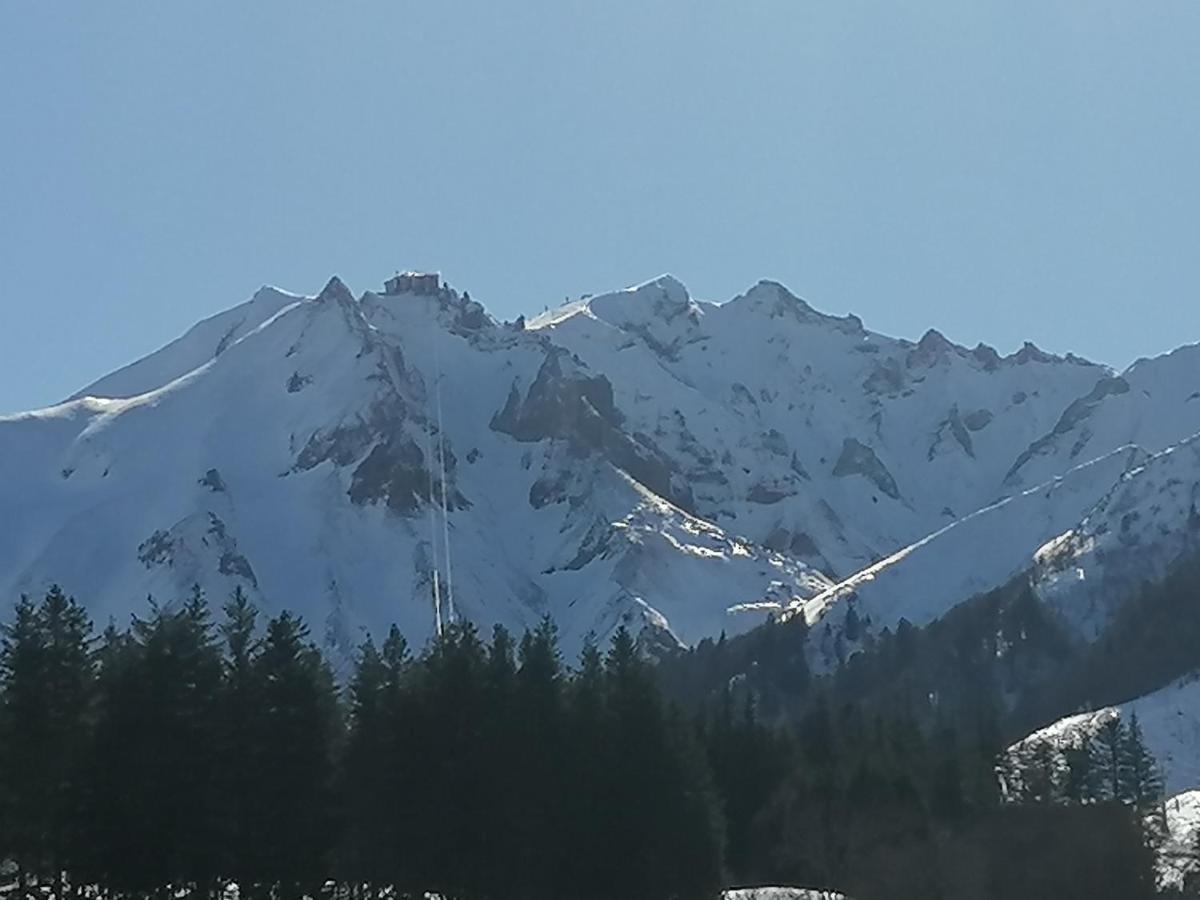 Tulipe, Appartement 5 Personnes, Entre Sancy Et Volcans D'Auvergne Orcival Zewnętrze zdjęcie