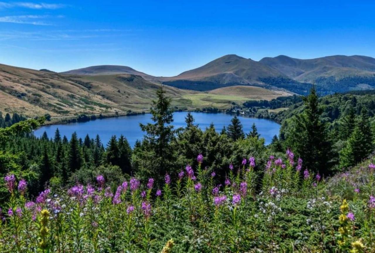 Tulipe, Appartement 5 Personnes, Entre Sancy Et Volcans D'Auvergne Orcival Zewnętrze zdjęcie